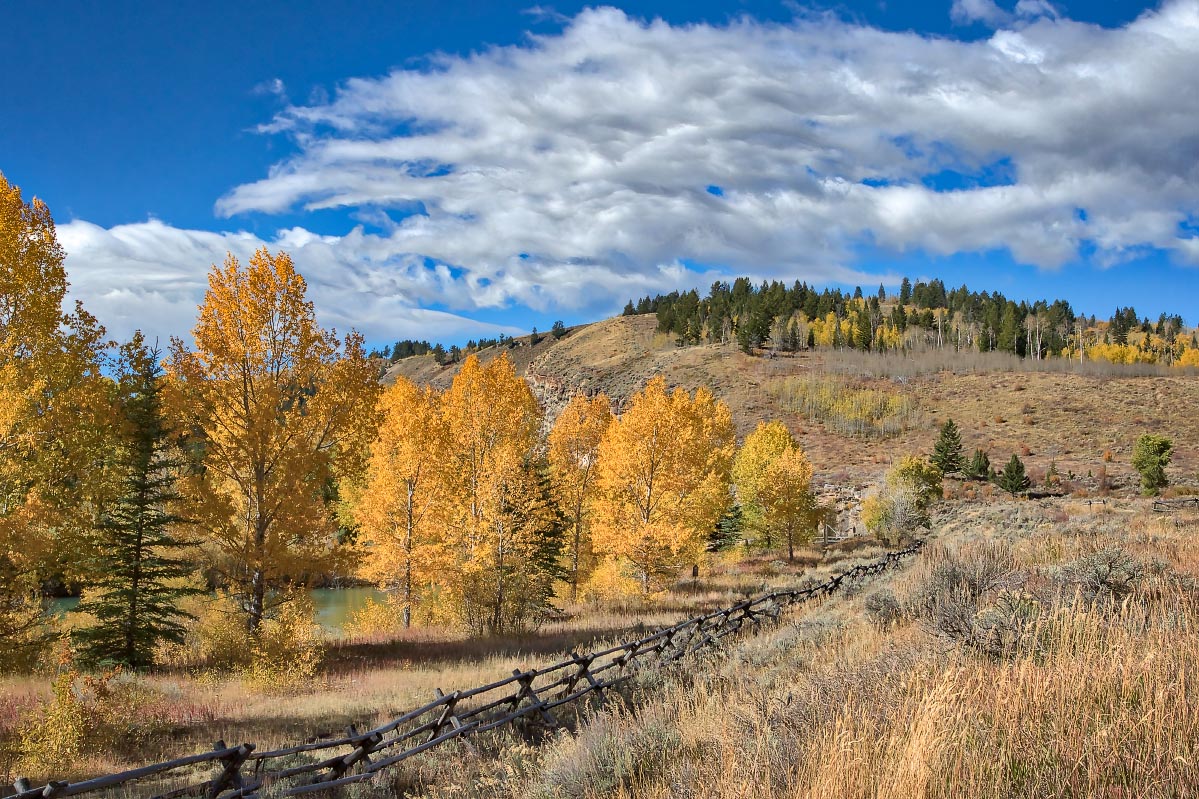 Gros Ventre River Wyoming