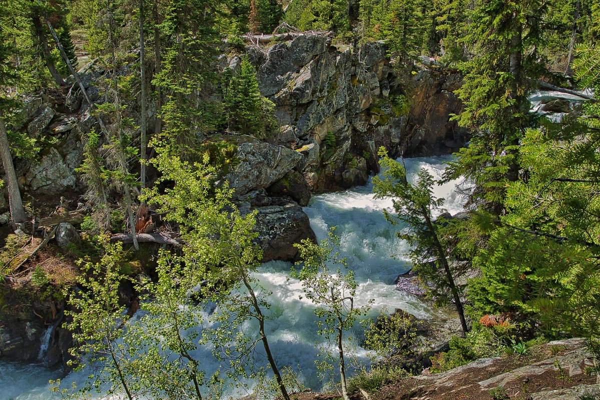 Cascade Creek Wyoming