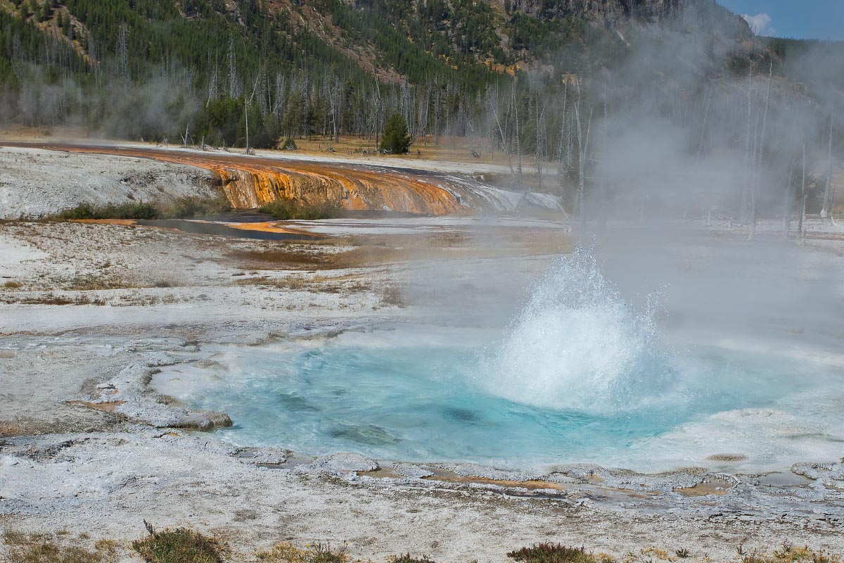 Spouter Geyser Yellowstone Wyoming