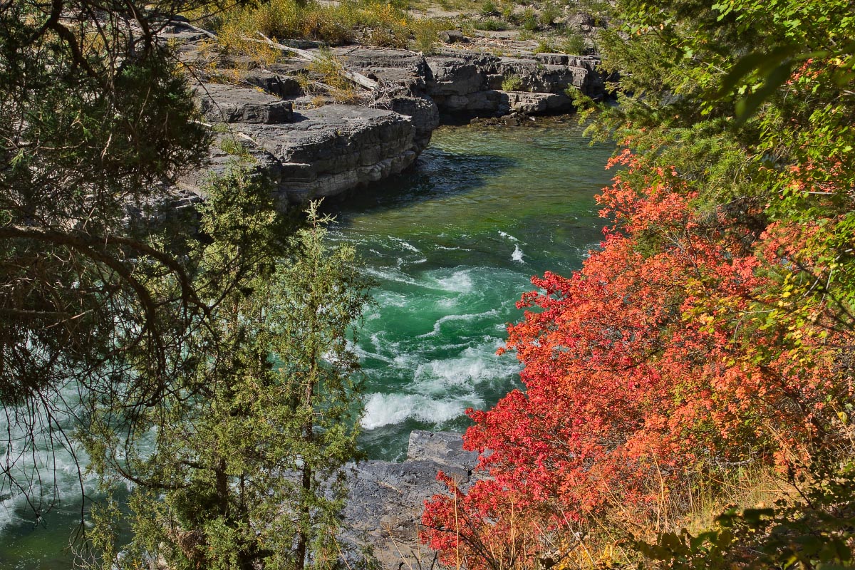 Snake River Canyon fall colors