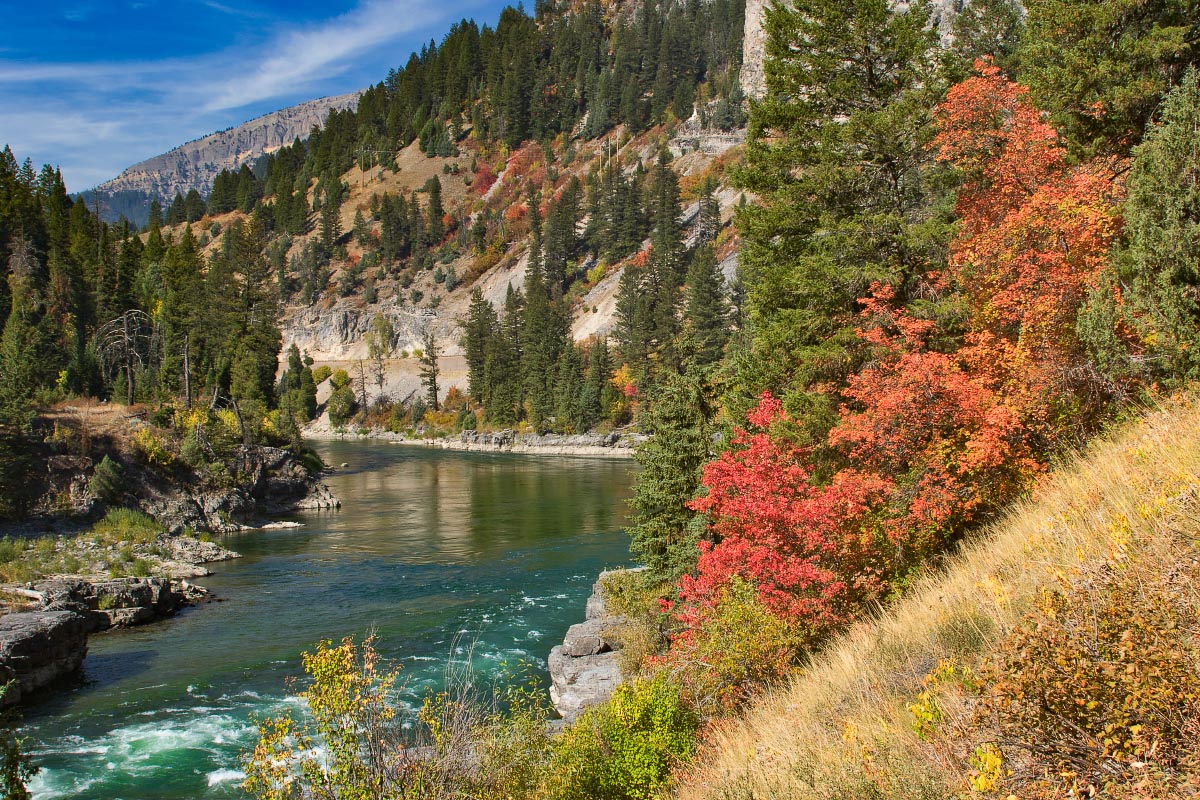 Snake River Canyon fall colors