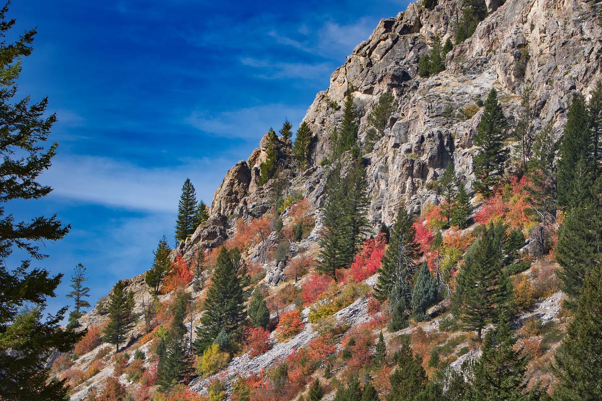 Snake River Canyon fall colors