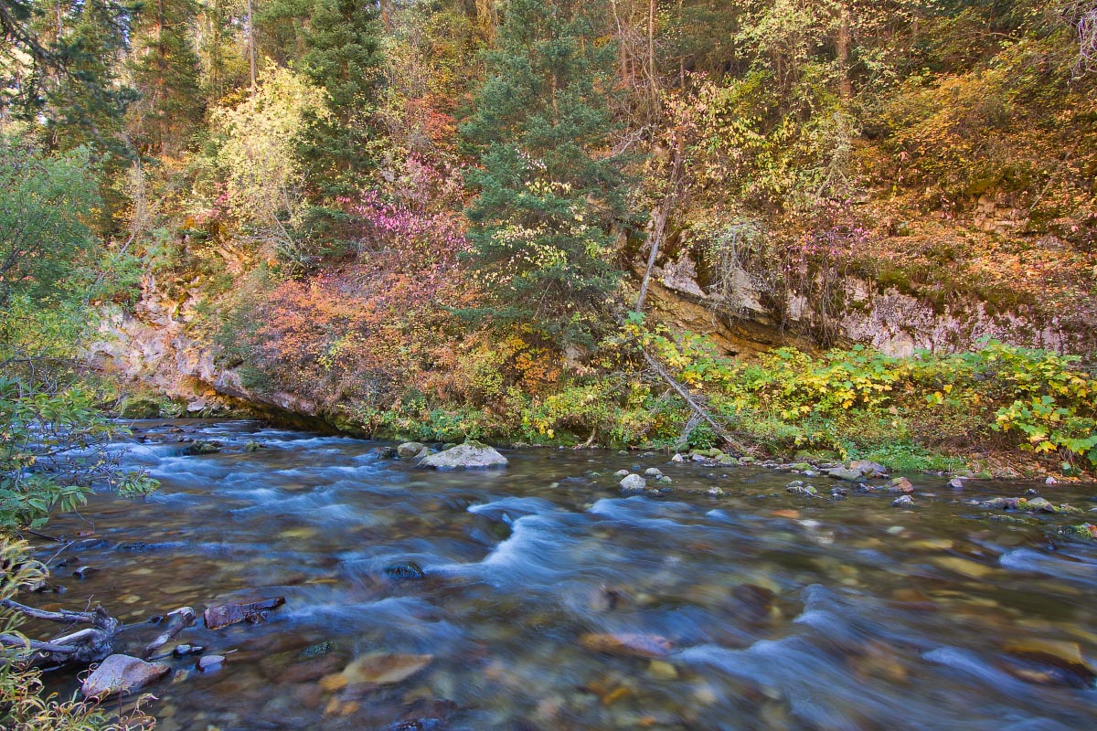 Snake River Canyon fall colors