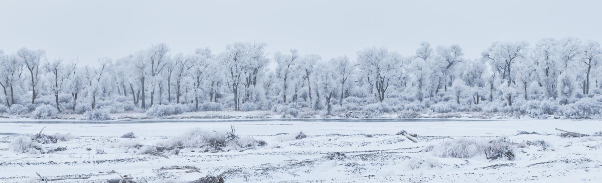 Wind River hoarfrost pano
