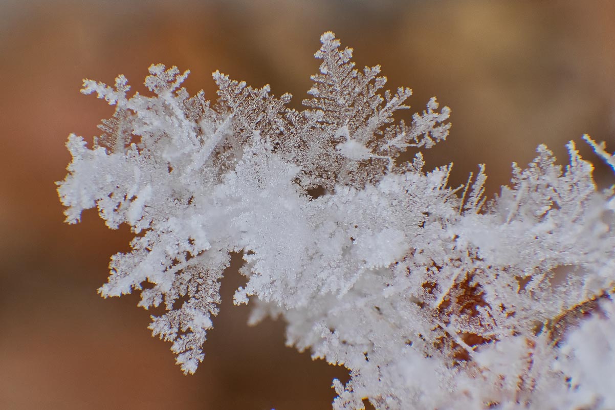 Hoarfrost macro