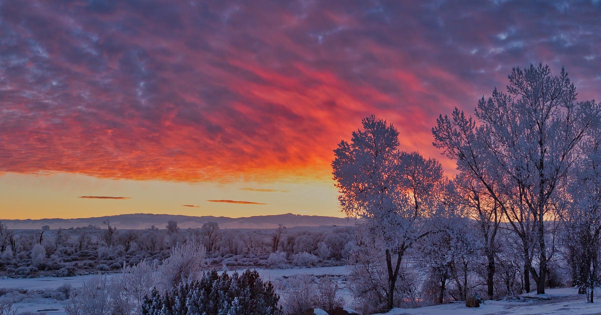 Wind River hoarfrost sunset