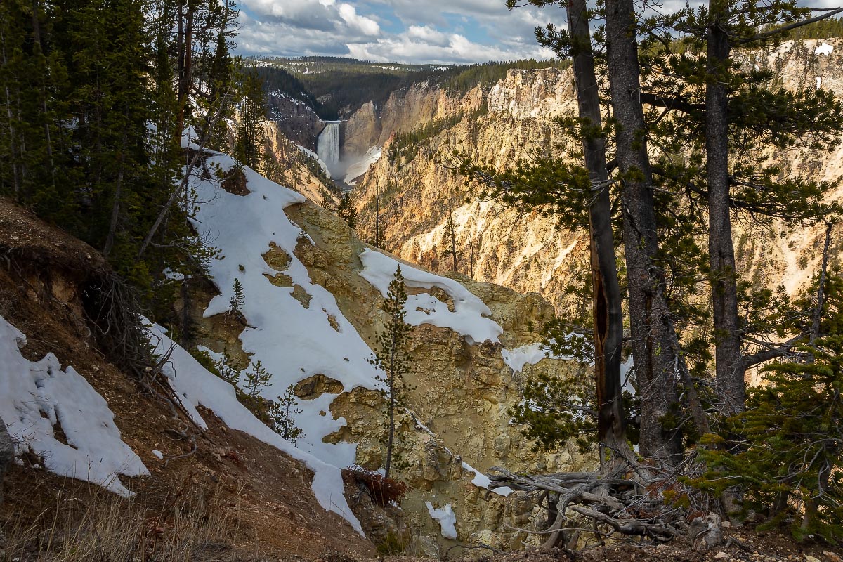 Grand Canyon of the Yellowstone Wyoming