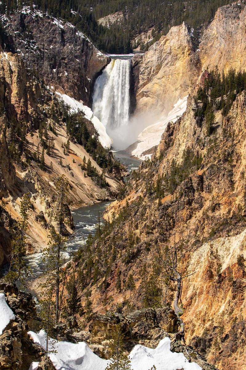 Lower Falls Yellowstone Wyoming