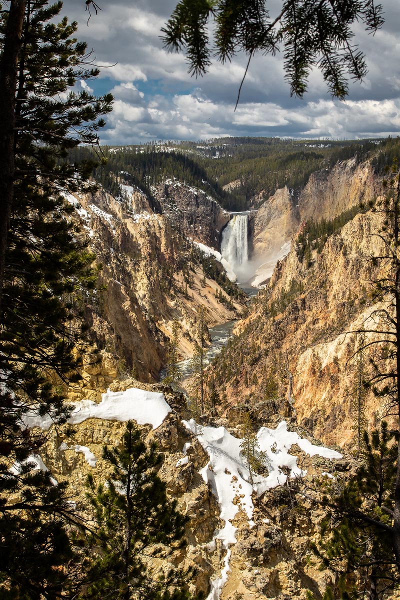 Lower Falls Yellowstone Wyoming