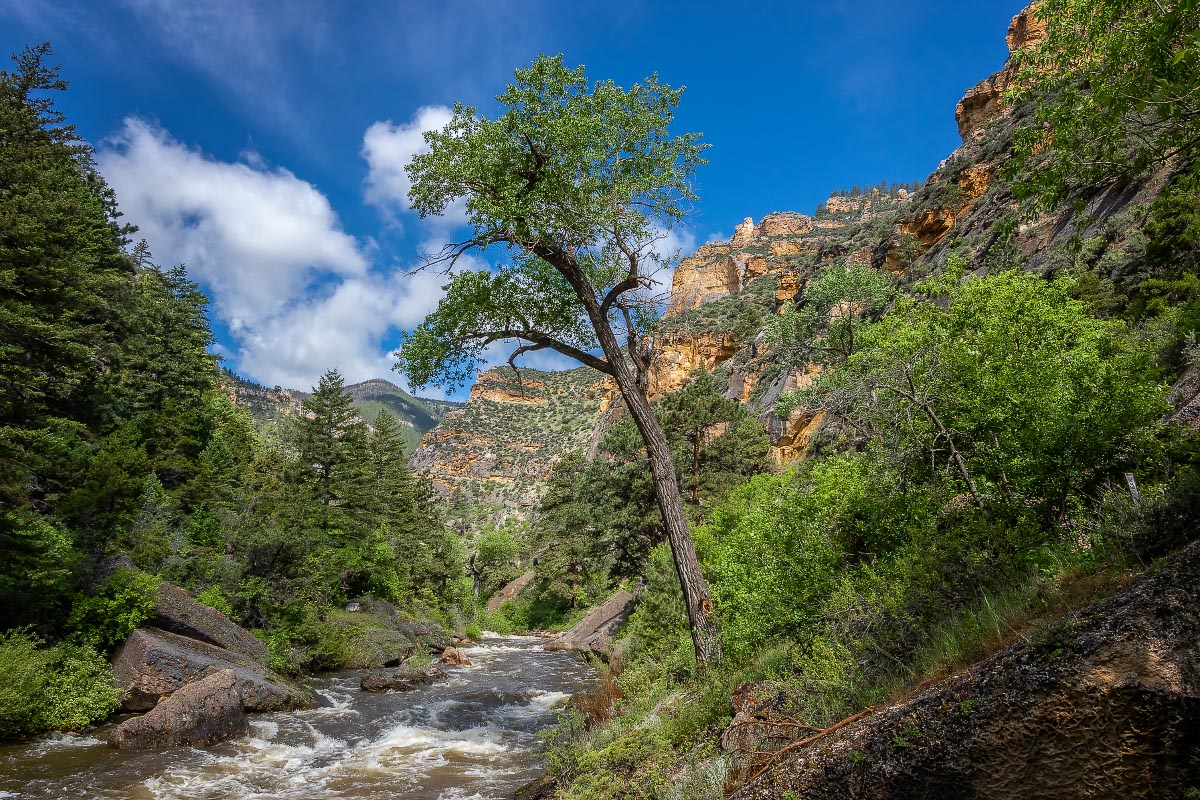 Tongue Canyon Wyoming