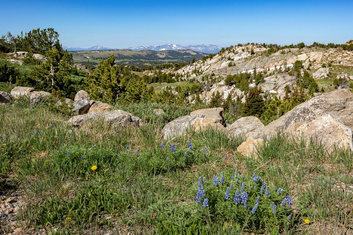 Beartooth Hwy Wyoming