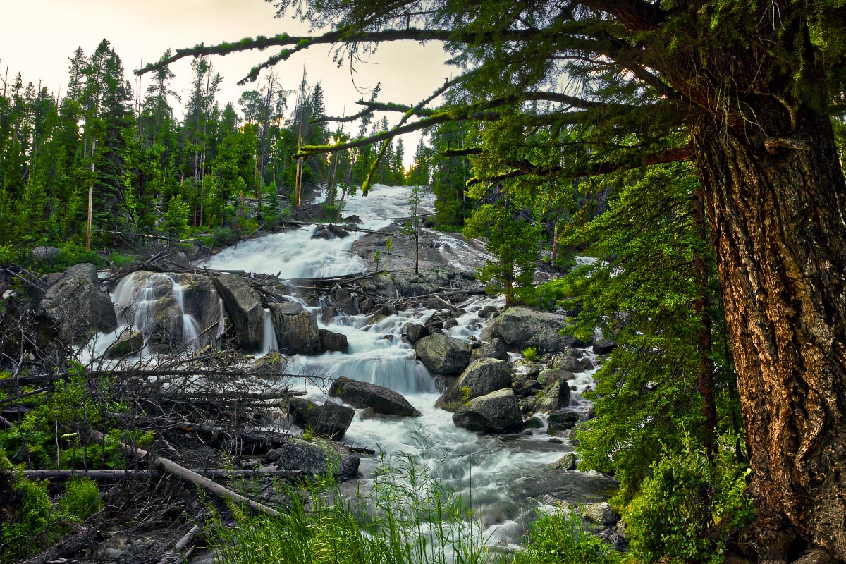 Crazy Creek Falls Beartooth Mountains Wyoming