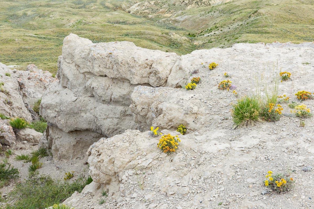 Beaver Rim Wyoming