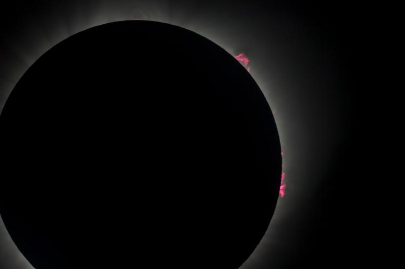 2017 Solar Eclipse Solar Prominences