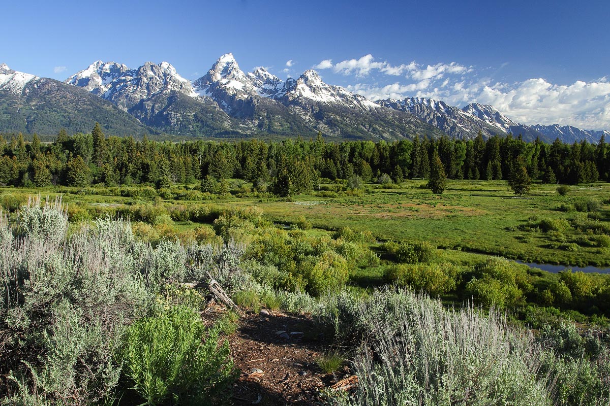 Blacktail Ponds Overlook Grand Teton National Park Wyoming