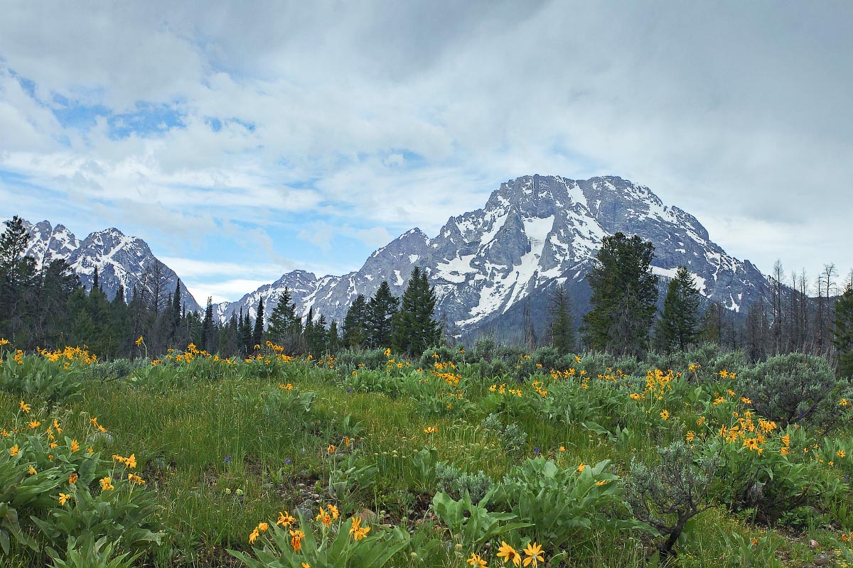 Grand Teton National Park Wyoming