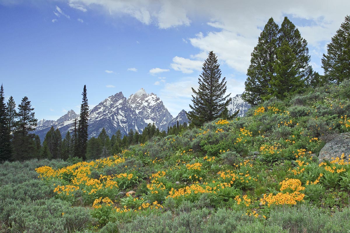 Grand Teton National Park Wyoming