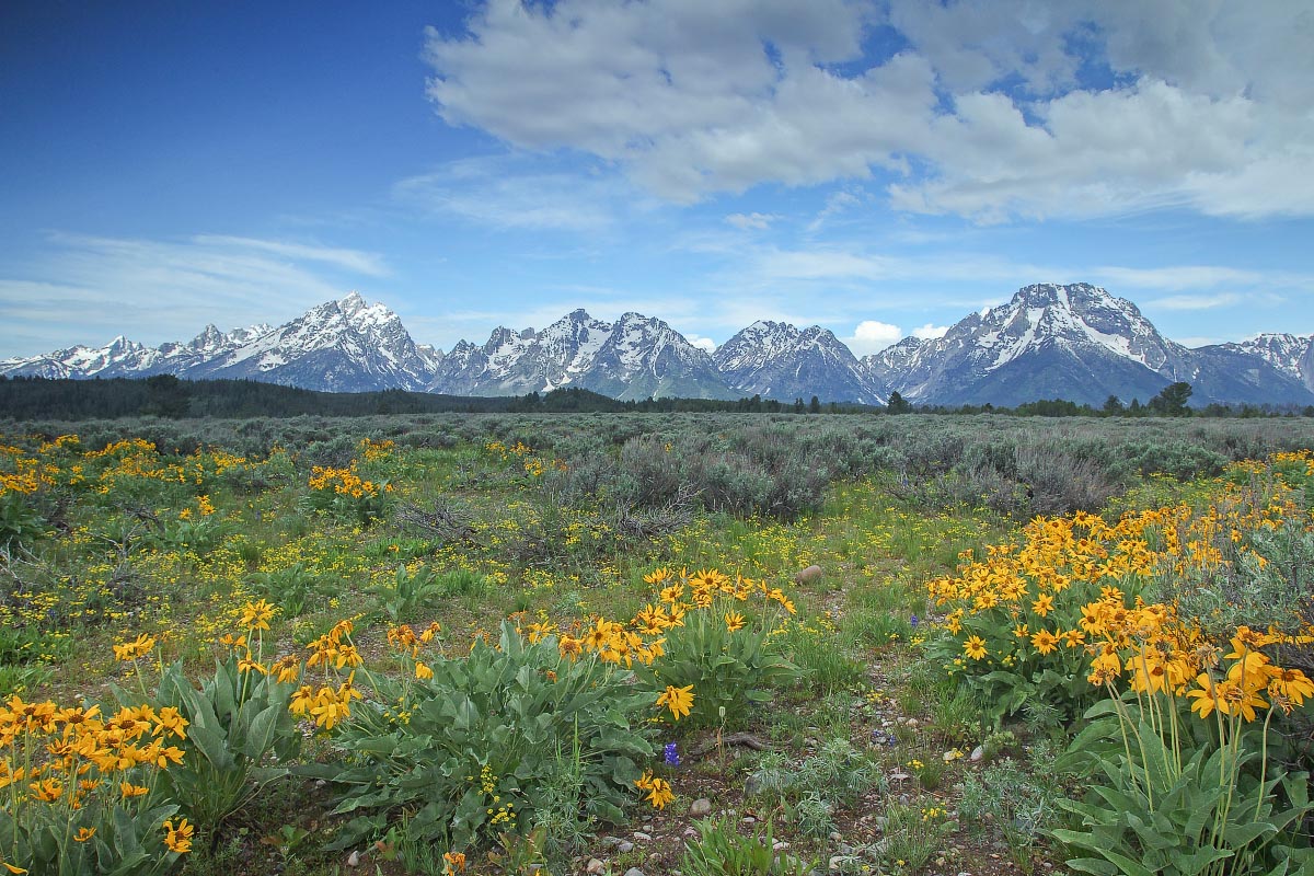 Grand Teton National Park Wyoming