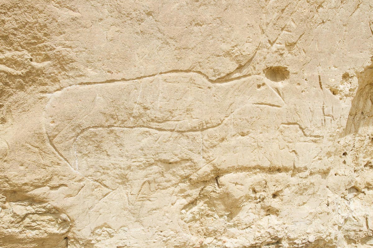 White Mountain Petroglyph site Wyoming