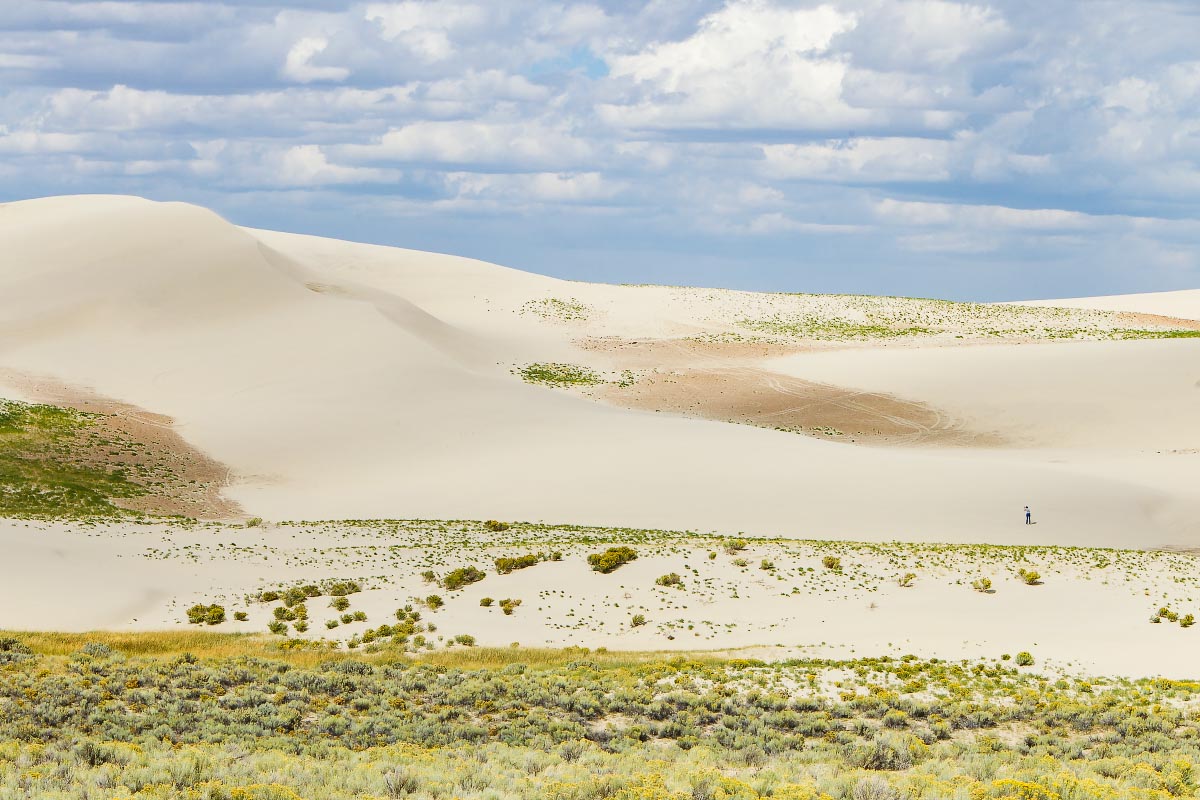 Killpecker Sand Dunes Wyoming