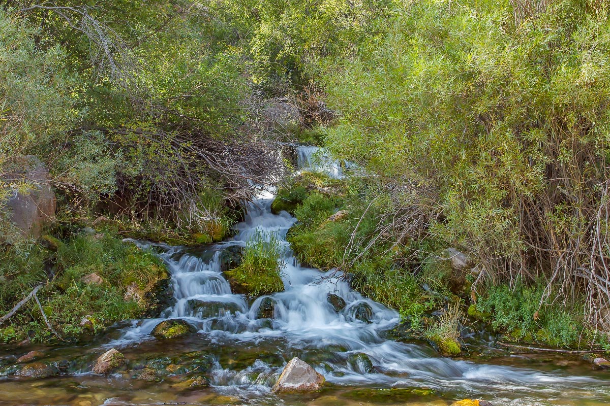 Sheep Creek Geological Loop