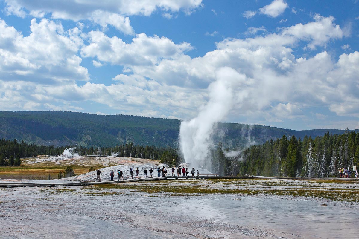 Lion Geyser Yellowstone Wyoming