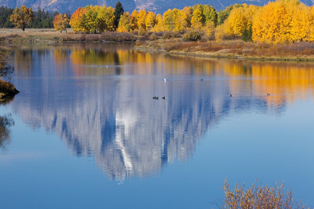 Oxbow Bend Grand Teton National Park Wyoming