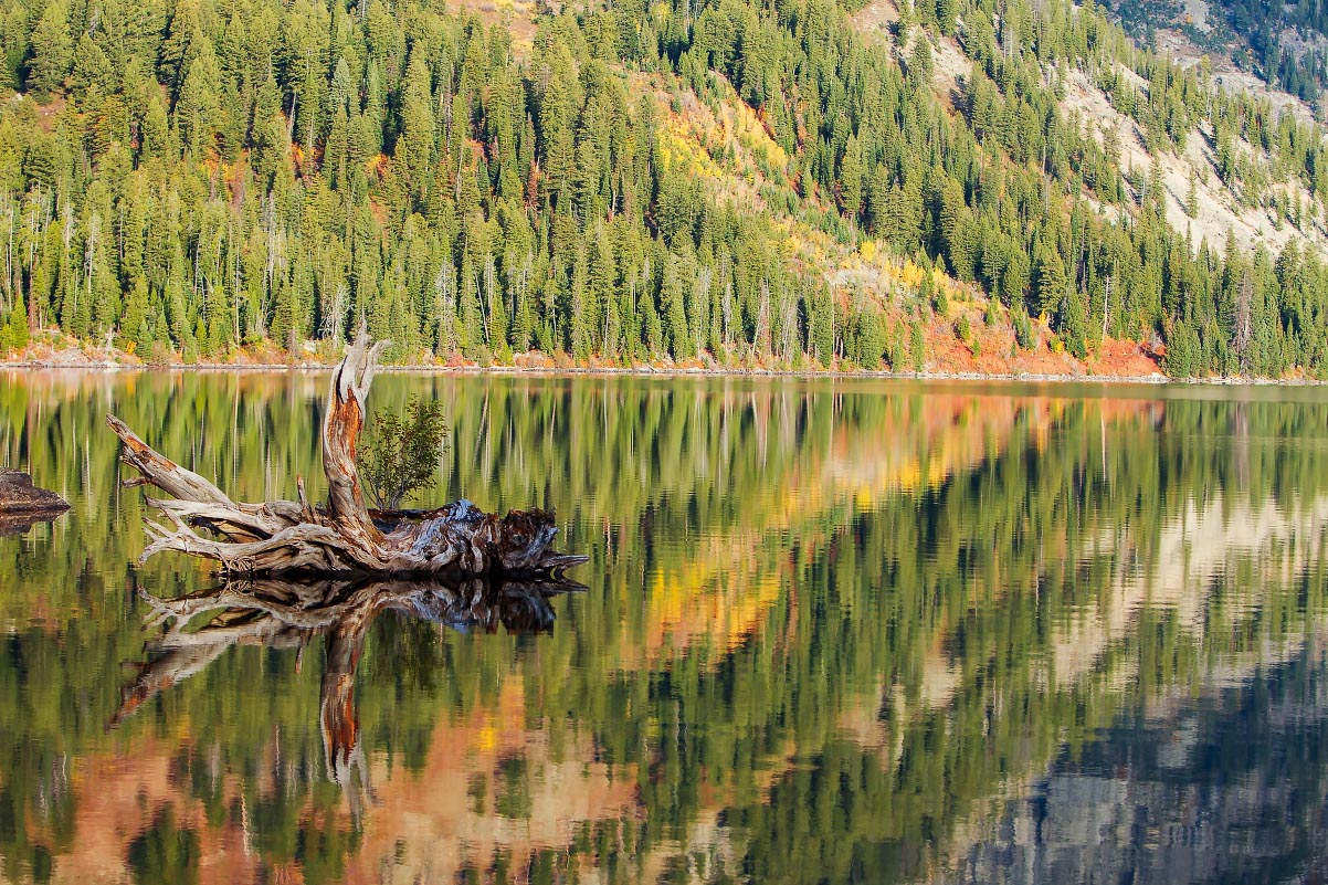 Jenny Lake Grand Teton National Park Wyoming