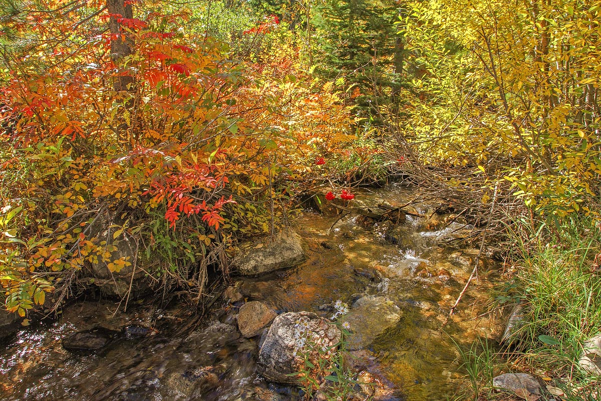 Grand Teton National Park Wyoming