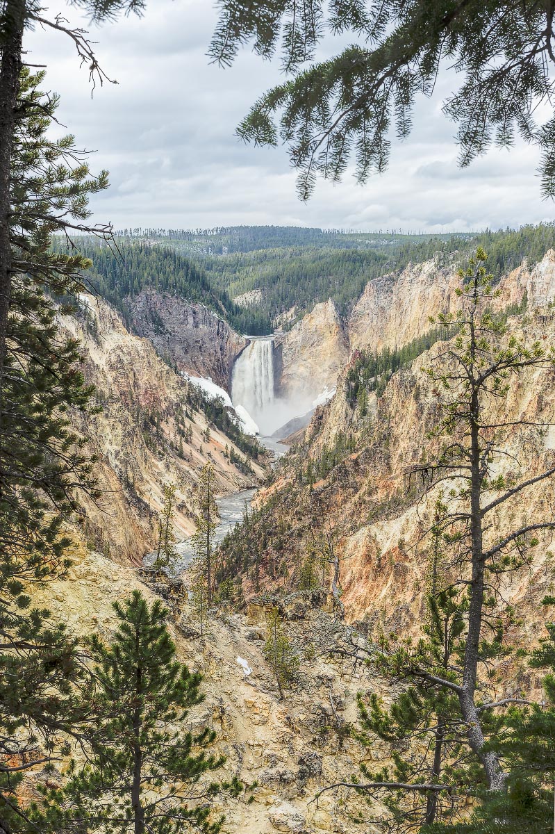 Yellowstone Grand Canyon, Lower Falls Wyoming