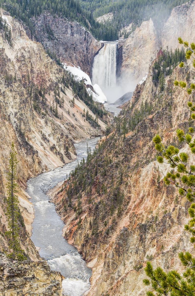 Yellowstone Grand Canyon, Lower Falls Wyoming