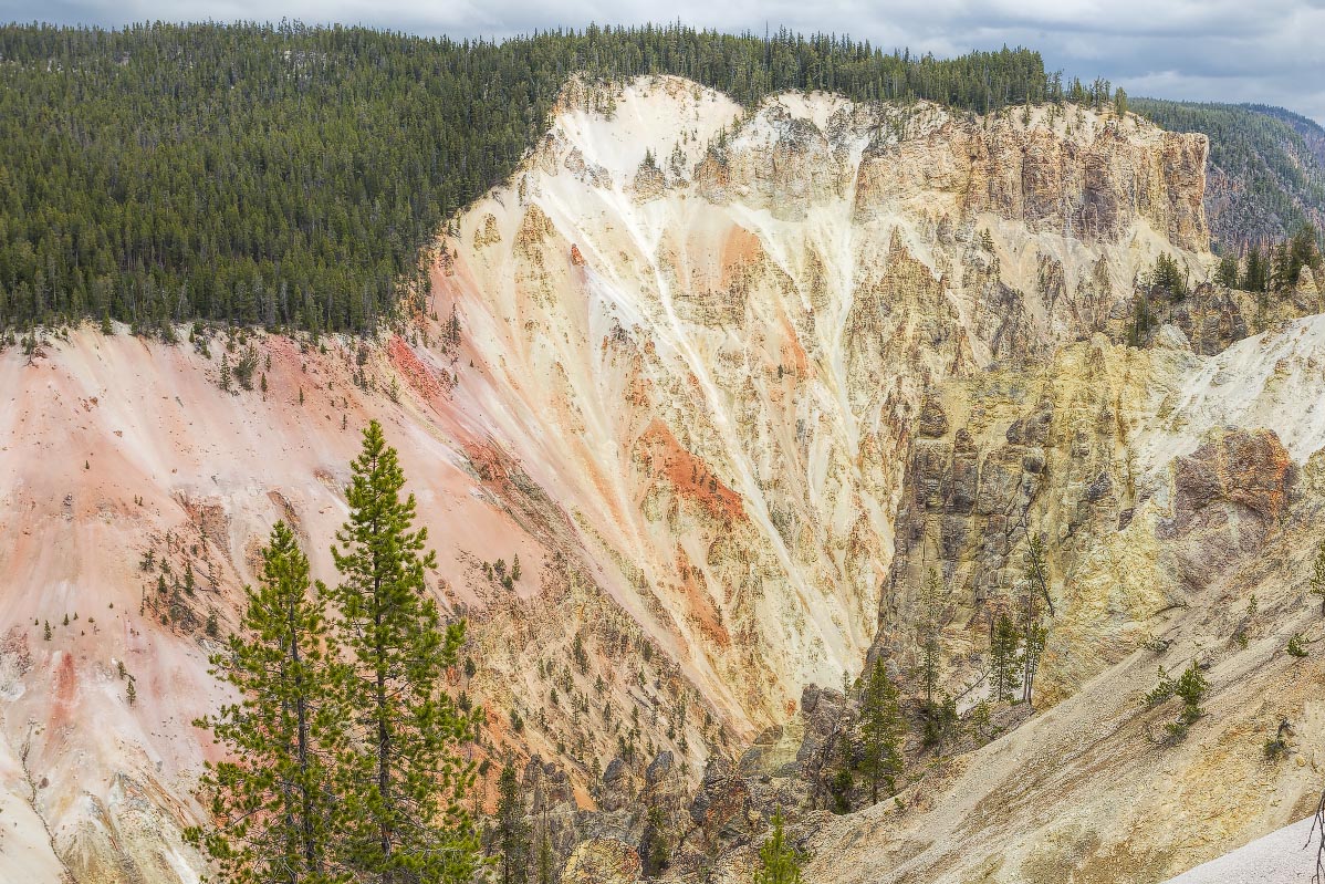 Yellowstone Grand Canyon Wyoming