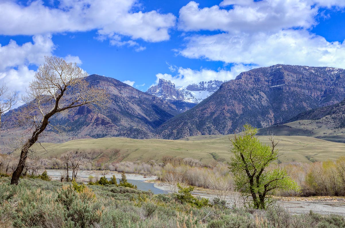 South Fork Shoshone Wyoming