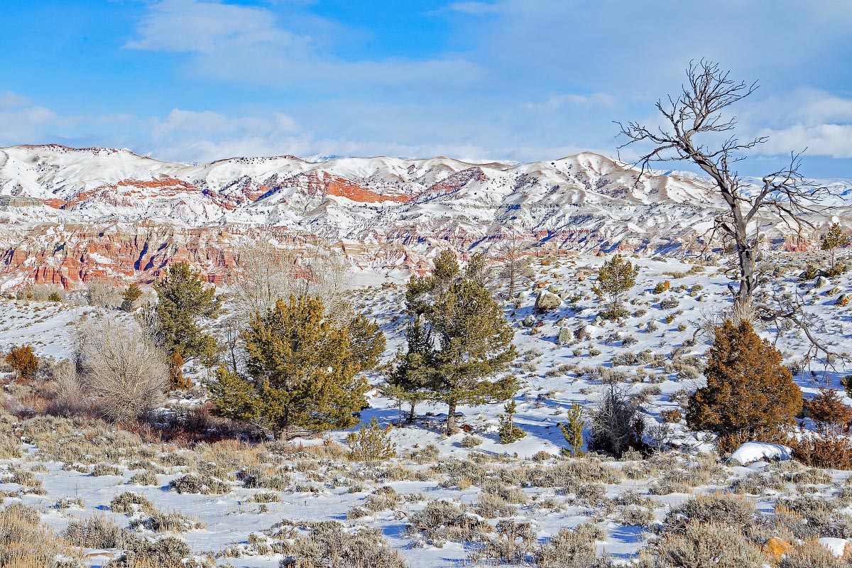 Dubois Badlands Wyoming