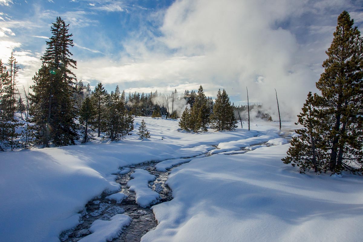 West Thumb Basin Yellowstone Wyoming