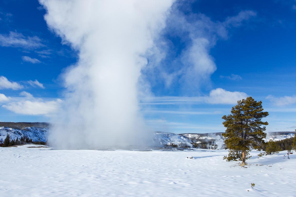 Old Faithful Geyser Yellowstone Wyoming