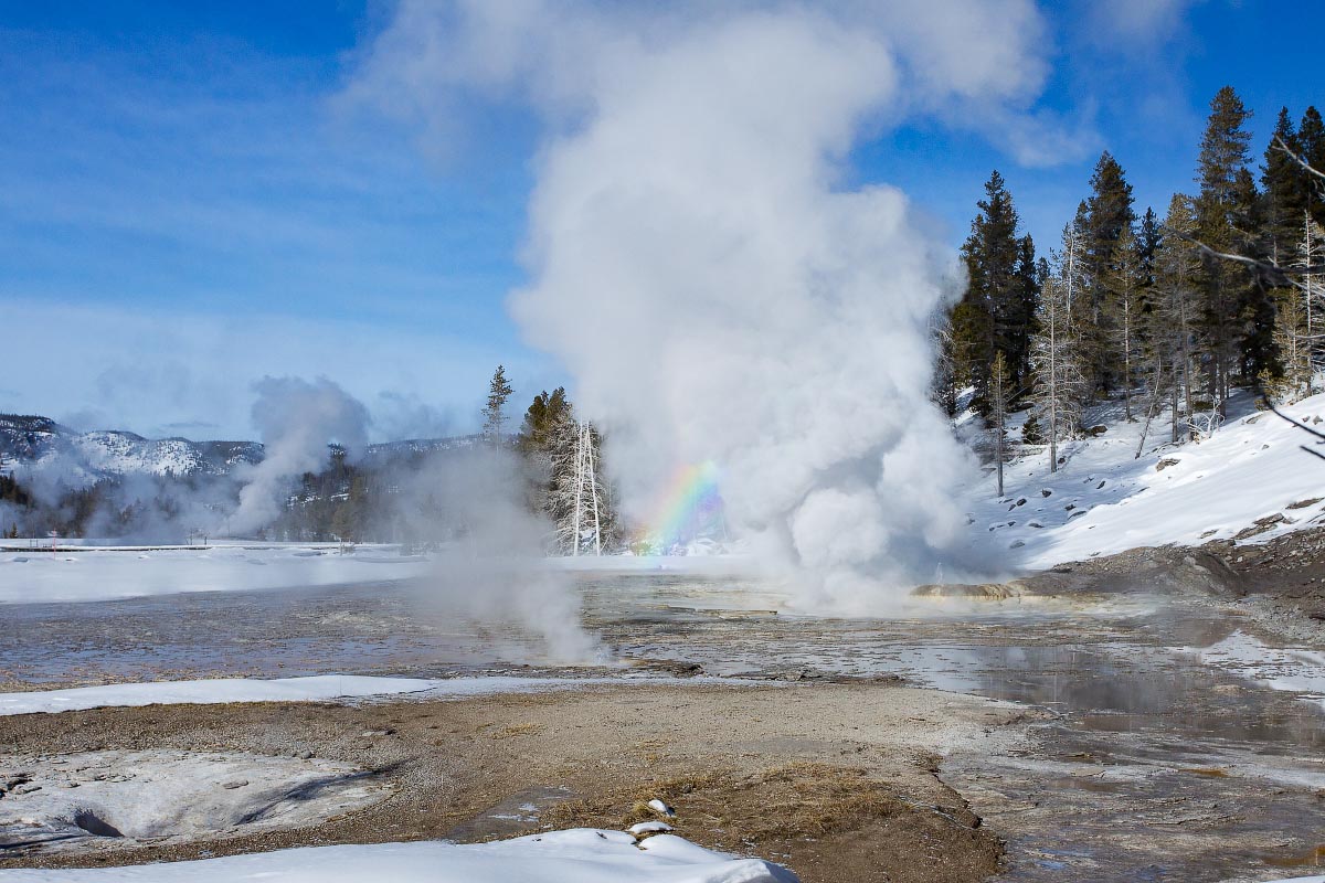 Grand Geyser Yellowstone Wyoming