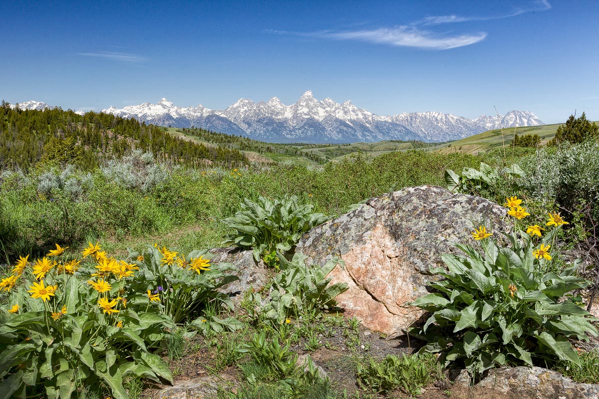 Grand Teton National Park Wyoming