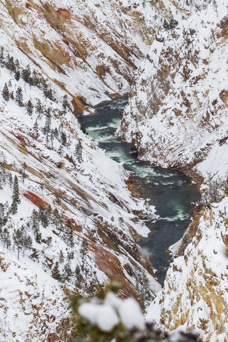 Grand Canyon of Yellowstone Yellowstone Wyoming