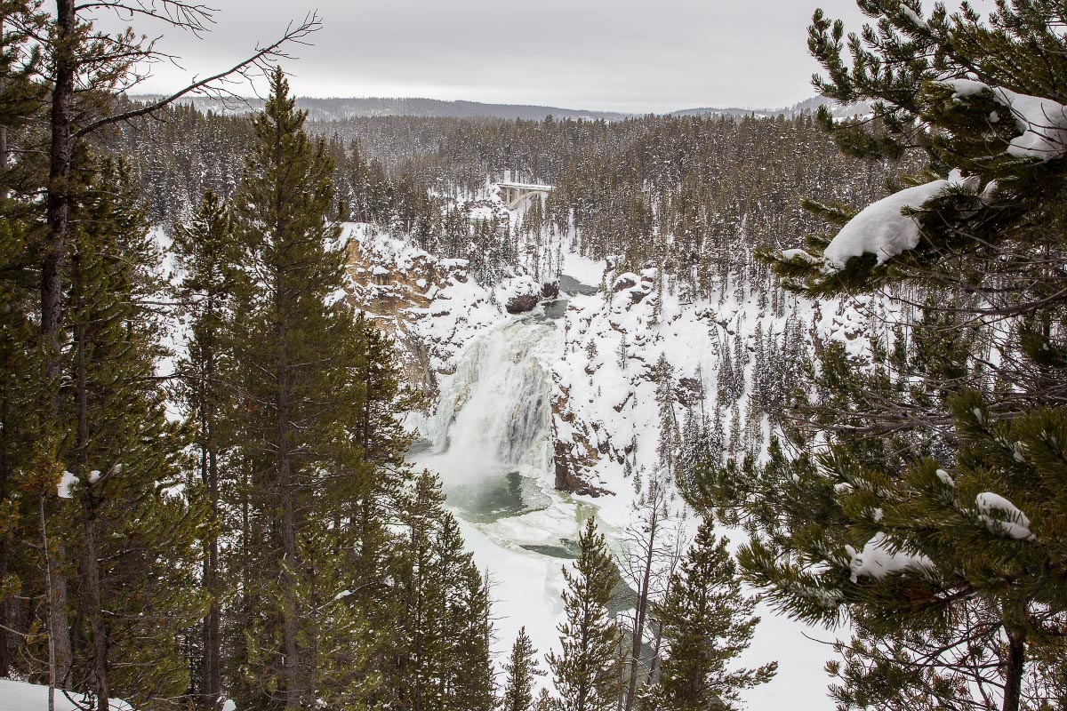 Upper Falls Yellowstone Wyoming