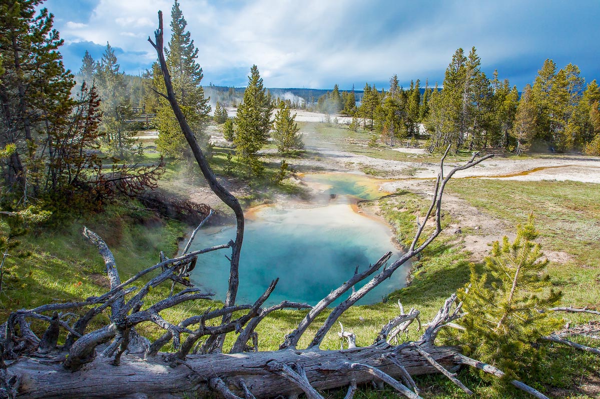 West Thumb Geyser Basin Yellowstone Wyoming