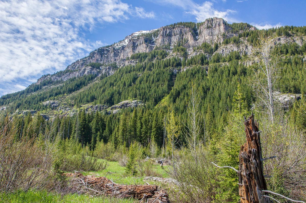 Teton Canyon Wyoming