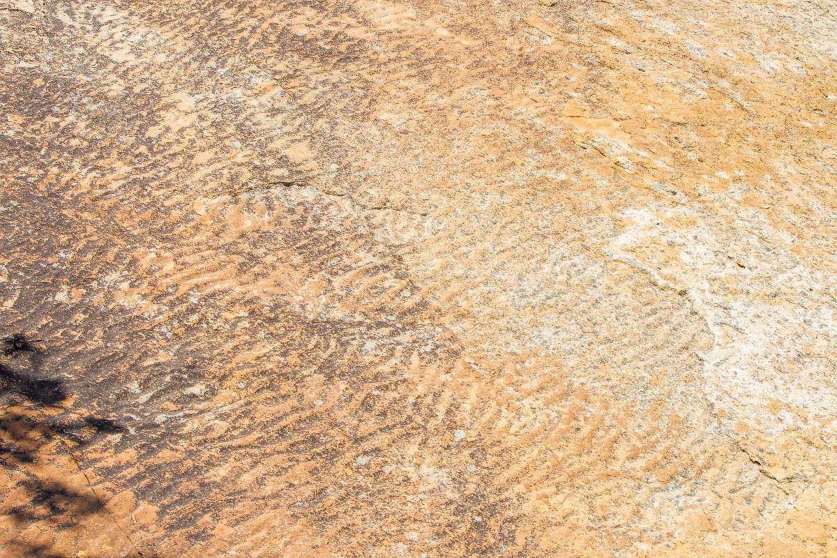 Dinosaur Ridge Colorado