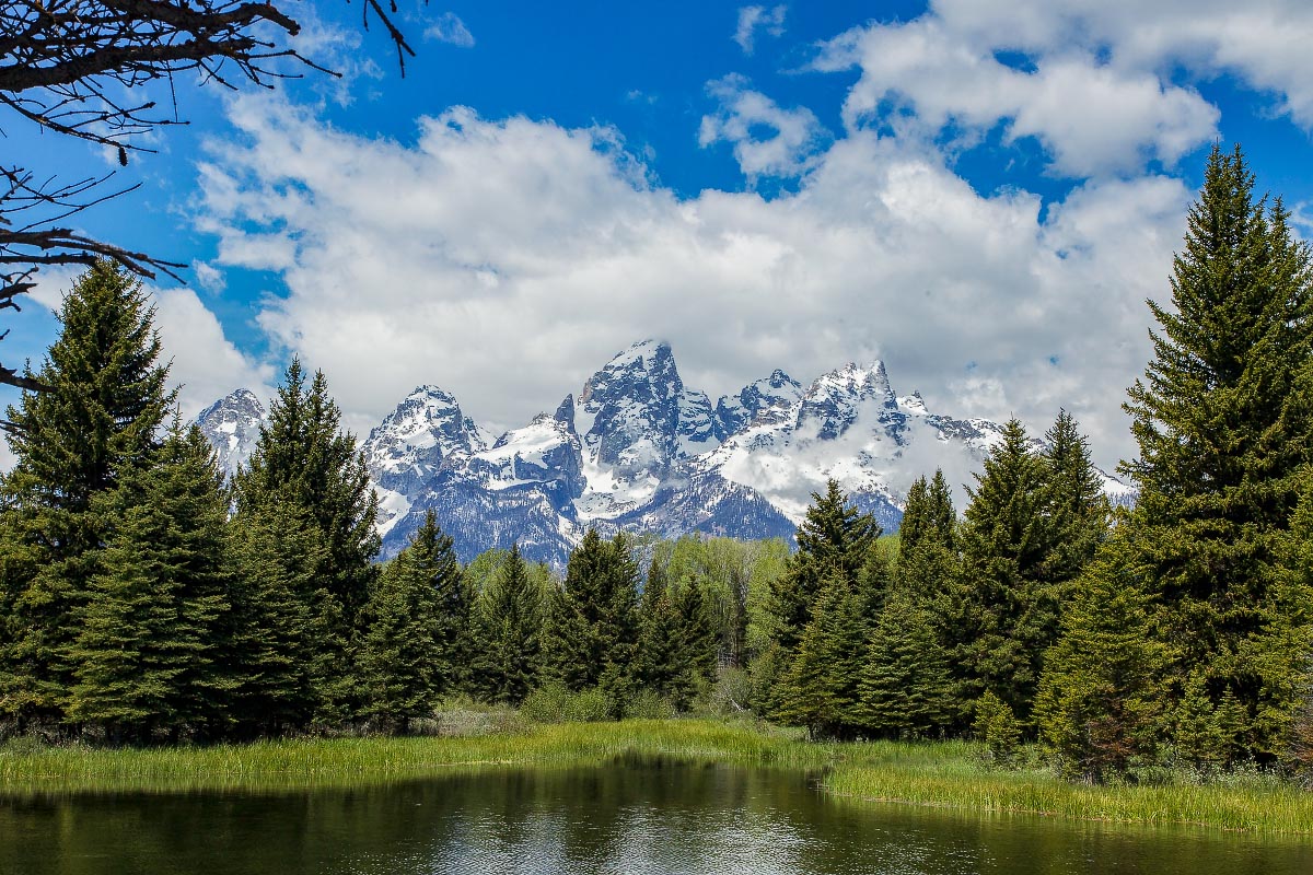 Schwabacher Landing Grand Teton National Park Wyoming