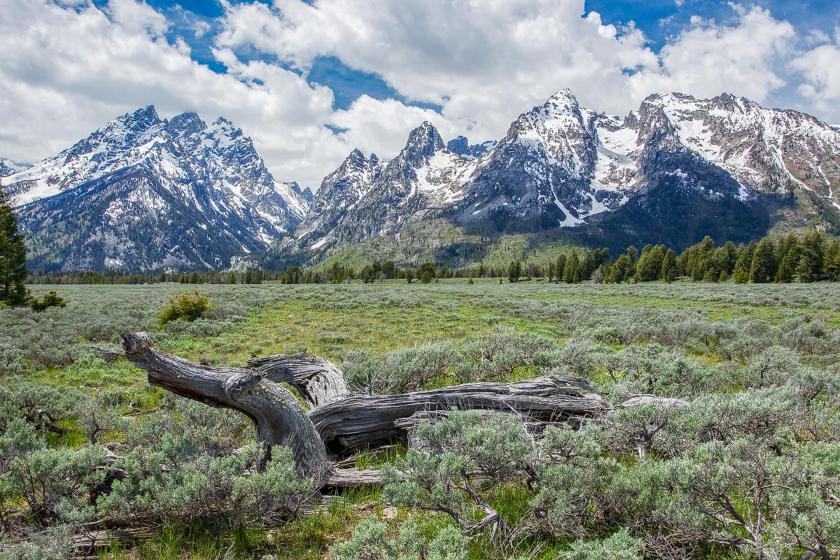 Grand Teton National Park Wyoming