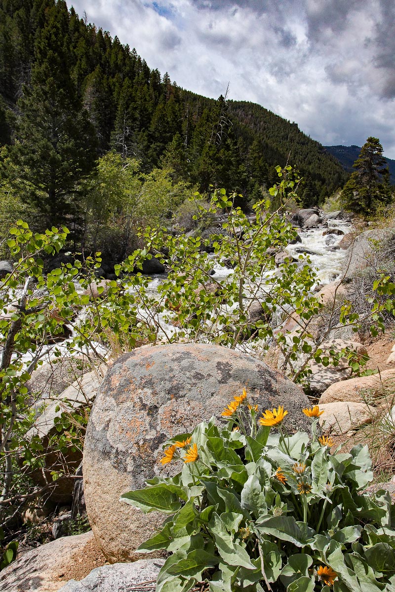 Sinks Canyon State Park Wyoming