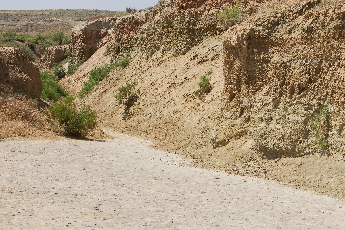 Red Gulch Dinosaur Tracksite Wyoming