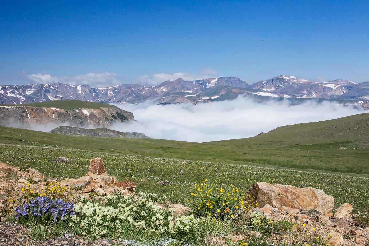 Beartooth Highway Wyoming