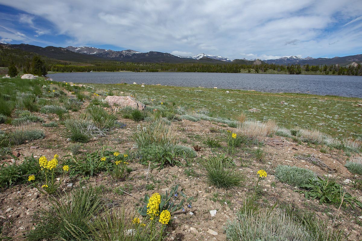 Frye Lake Wyoming