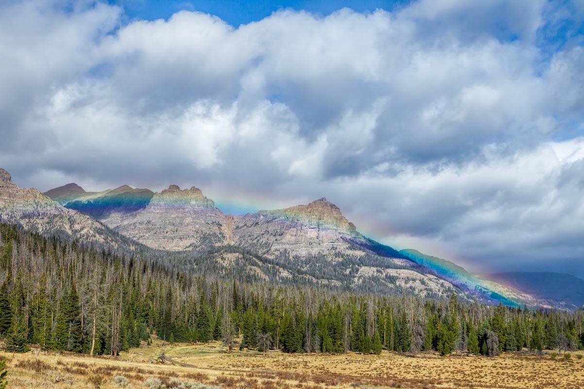 Double Cabin Wyoming